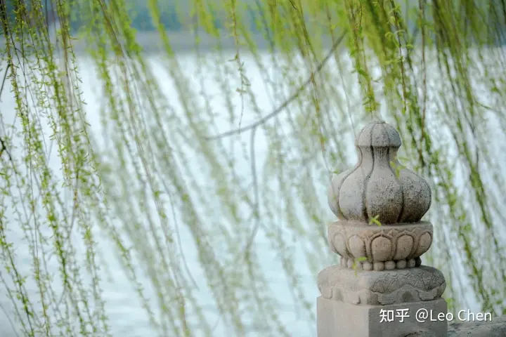 哪些问题不建议进行心理咨询(图1)